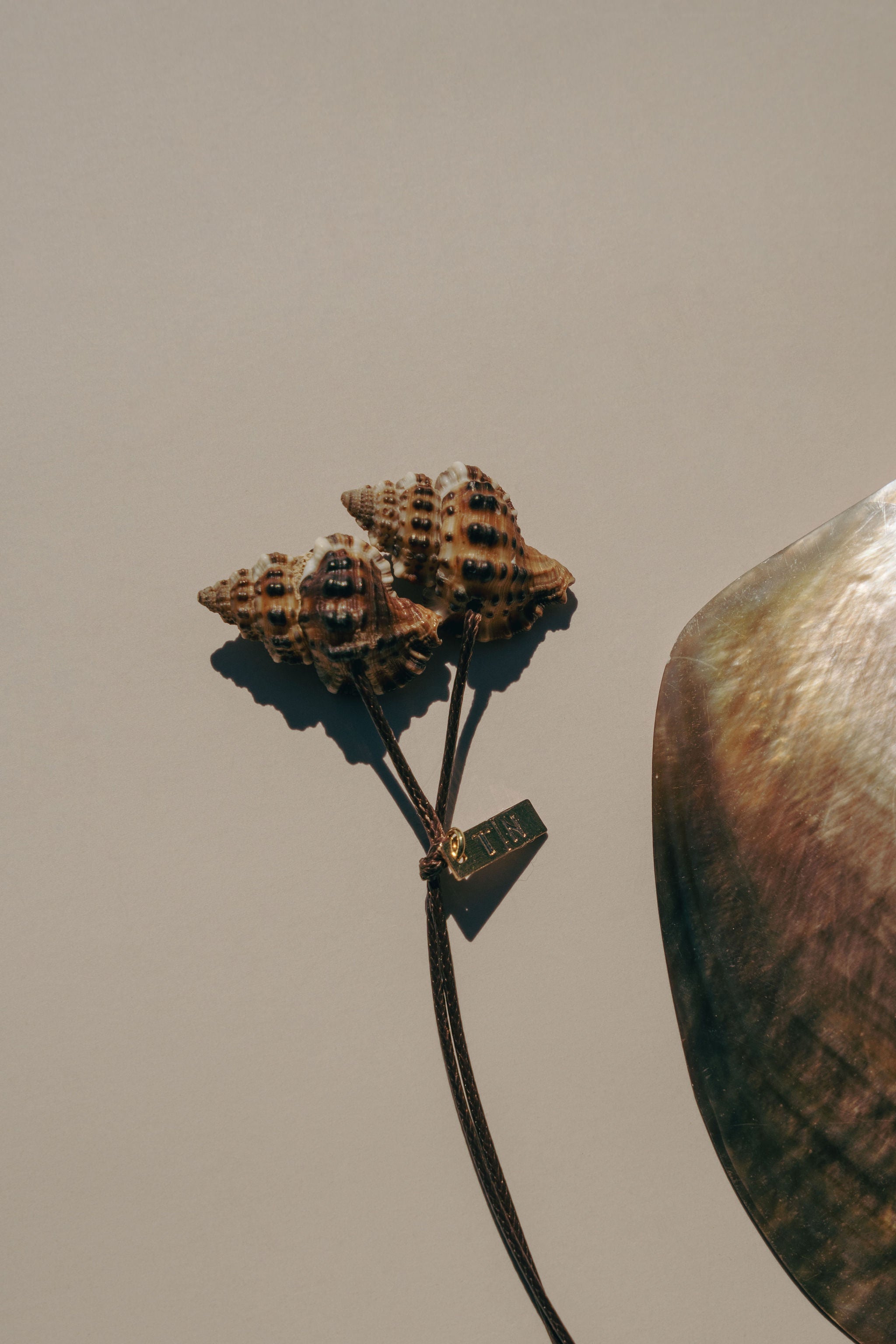 Colar Island Coconut