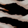 alt-tag